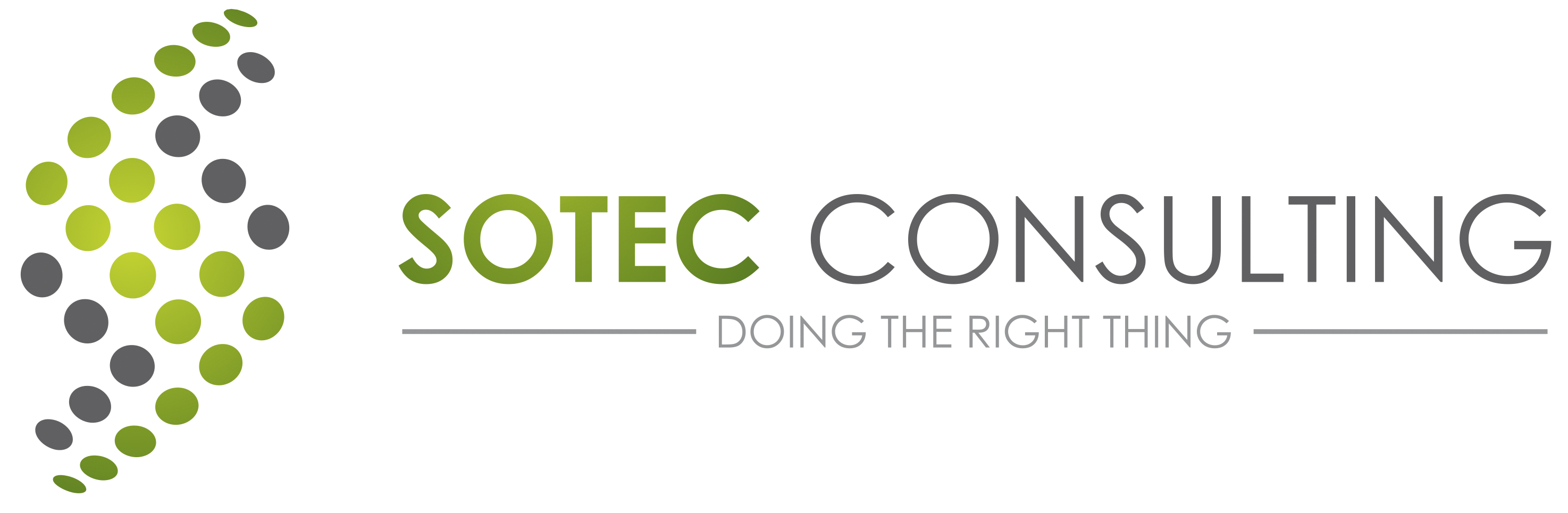 Sotec Consulting